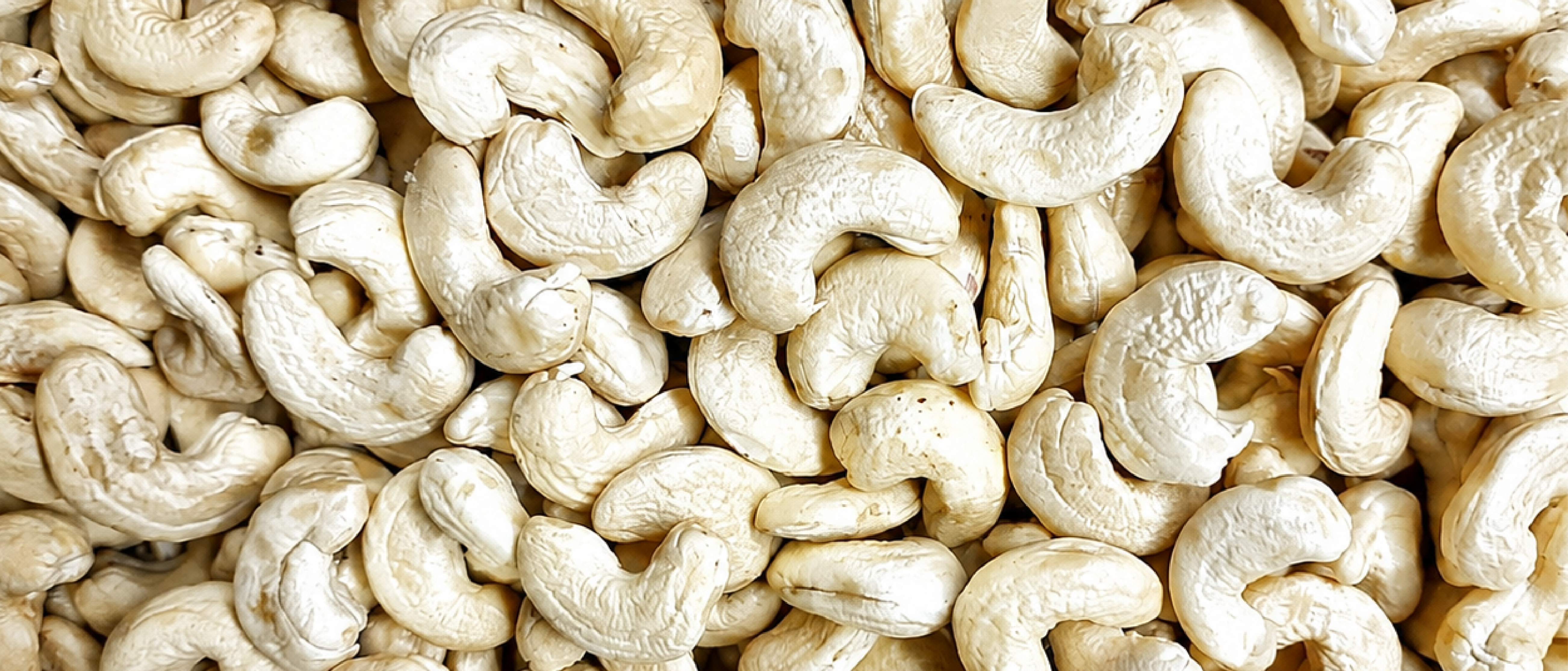 Nhân điều trắng VINEX